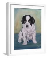 Border Collie Puppy-Angeles M Pomata-Framed Giclee Print