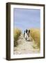Border Collie Running Down Path Through Field-null-Framed Photographic Print