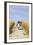 Border Collie Running Down Path Through Field-null-Framed Photographic Print