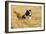 Border Collie Running in Field-null-Framed Photographic Print