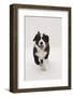 Border Collie Running Towards the Camera-Mark Taylor-Framed Photographic Print