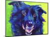 Border Collie - Viktor-Dawgart-Mounted Giclee Print