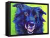 Border Collie - Viktor-Dawgart-Framed Stretched Canvas