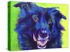 Border Collie - Viktor-Dawgart-Stretched Canvas