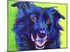 Border Collie - Viktor-Dawgart-Mounted Giclee Print