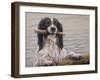 Border Collie with Stick in Lake-John Silver-Framed Giclee Print