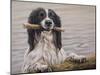 Border Collie with Stick in Lake-John Silver-Mounted Giclee Print