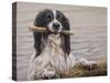 Border Collie with Stick in Lake-John Silver-Stretched Canvas