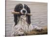 Border Collie with Stick in Lake-John Silver-Stretched Canvas