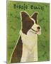 Border Collie-John Golden-Mounted Giclee Print