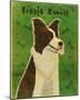 Border Collie-John Golden-Mounted Art Print