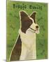 Border Collie-John W^ Golden-Mounted Art Print