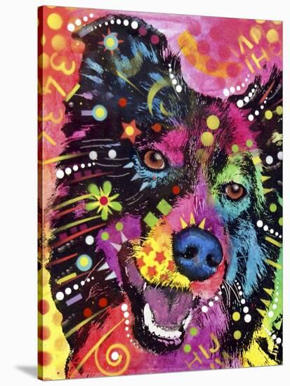 Border Collie-Dean Russo-Stretched Canvas