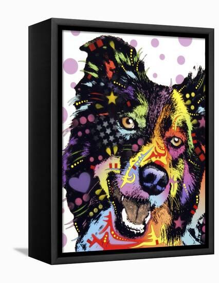 Border Collie-Dean Russo-Framed Stretched Canvas