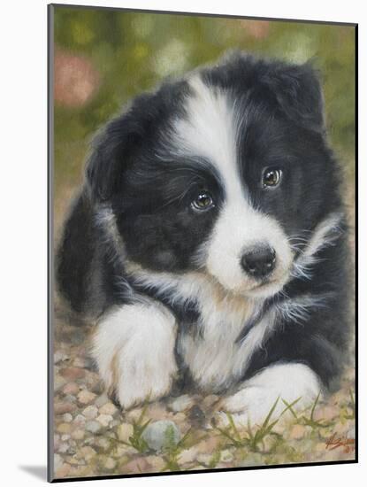 Border Collie-John Silver-Mounted Giclee Print