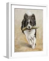 Border Collie-John Silver-Framed Giclee Print