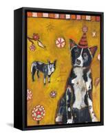 Border Collie-Jill Mayberg-Framed Stretched Canvas