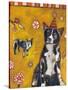 Border Collie-Jill Mayberg-Stretched Canvas