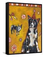 Border Collie-Jill Mayberg-Framed Stretched Canvas