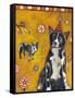 Border Collie-Jill Mayberg-Framed Stretched Canvas