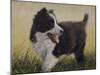 Border Collie-John Silver-Mounted Giclee Print