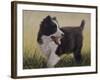 Border Collie-John Silver-Framed Giclee Print