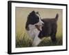 Border Collie-John Silver-Framed Giclee Print