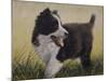 Border Collie-John Silver-Mounted Giclee Print