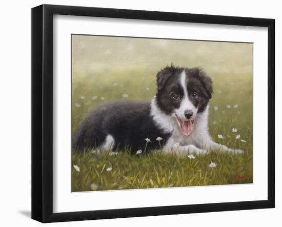 Border Collie-John Silver-Framed Giclee Print