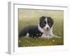 Border Collie-John Silver-Framed Giclee Print