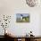 Border Collies in Ice-Plant on Bluff Overlooking Pacific Ocean, Goleta, California, USA-Lynn M^ Stone-Photographic Print displayed on a wall