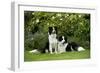 Border Collies Sitting in the Garden-null-Framed Photographic Print