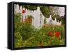 Border Garden, New Smyrna Beach, Florida-Lisa S. Engelbrecht-Framed Stretched Canvas