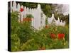 Border Garden, New Smyrna Beach, Florida-Lisa S. Engelbrecht-Stretched Canvas