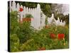 Border Garden, New Smyrna Beach, Florida-Lisa S. Engelbrecht-Stretched Canvas