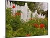 Border Garden, New Smyrna Beach, Florida-Lisa S. Engelbrecht-Mounted Photographic Print