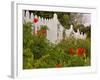 Border Garden, New Smyrna Beach, Florida-Lisa S. Engelbrecht-Framed Photographic Print