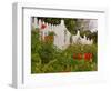 Border Garden, New Smyrna Beach, Florida-Lisa S. Engelbrecht-Framed Photographic Print