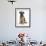 Border Terrier Bitch Puppy, Kes, Sitting-Mark Taylor-Framed Photographic Print displayed on a wall