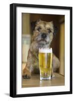 Border Terrier in Pub with Beer-null-Framed Photographic Print