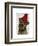 Border Terrier with Red Bobble Hat-Fab Funky-Framed Art Print