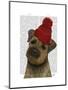 Border Terrier with Red Bobble Hat-Fab Funky-Mounted Art Print