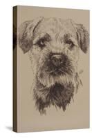 Border Terrier-Barbara Keith-Stretched Canvas