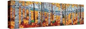 Border View-Graham Forsythe-Stretched Canvas