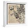 Bordered Fleurs Paris-Piper Ballantyne-Framed Art Print