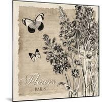 Bordered Fleurs Paris-Piper Ballantyne-Mounted Art Print