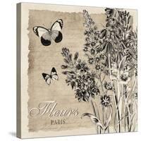 Bordered Fleurs Paris-Piper Ballantyne-Stretched Canvas