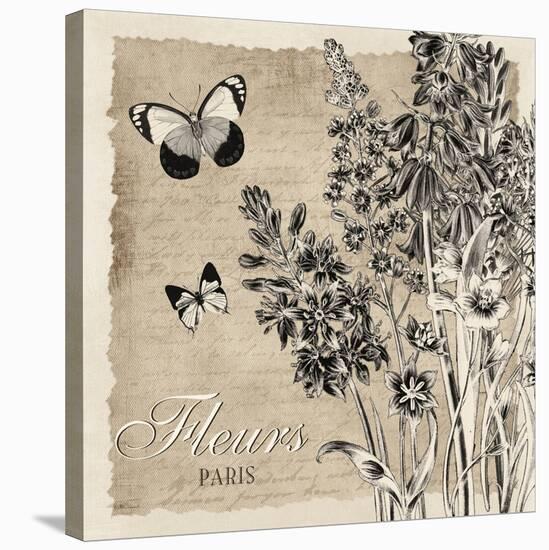 Bordered Fleurs Paris-Piper Ballantyne-Stretched Canvas