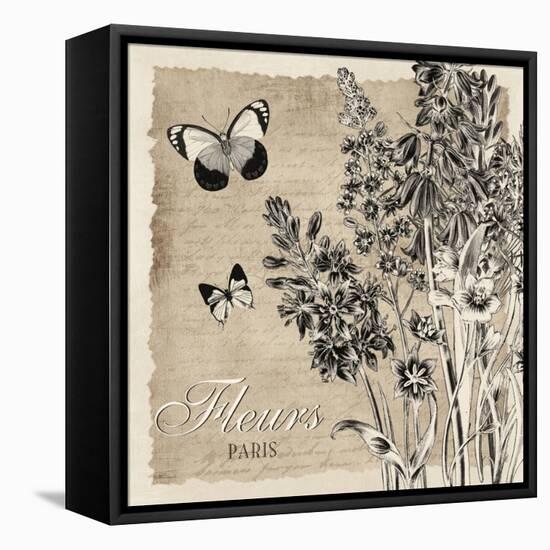 Bordered Fleurs Paris-Piper Ballantyne-Framed Stretched Canvas