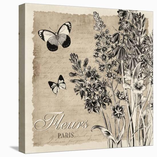 Bordered Fleurs Paris-Piper Ballantyne-Stretched Canvas